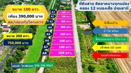 ที่ดินติดลาดยาง คลอง 12 หนองเสือ ทำเลทอง 100 ตรว. 390.000.- สดและผ่อน ไม่เช็คเครดิต