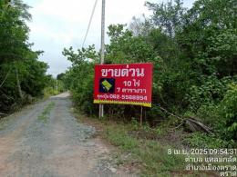 ขายที่ตราดผังเมืองสีเขียว ที่ใกล้ทะเลติดคลองสนห่างจากทะเล100เมตร